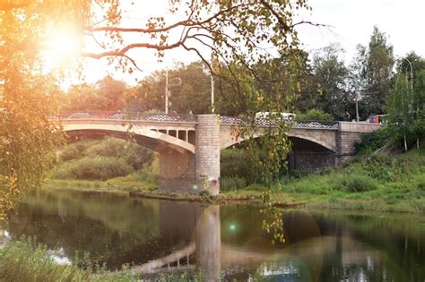 Spring cathedral on sunset tree | Premium Photo