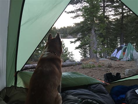 Logger Campground in Tahoe National Forest, California: Reviews and ...