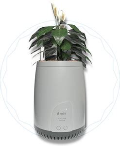 Buy iRobot Roomba Online at Best Prices in India