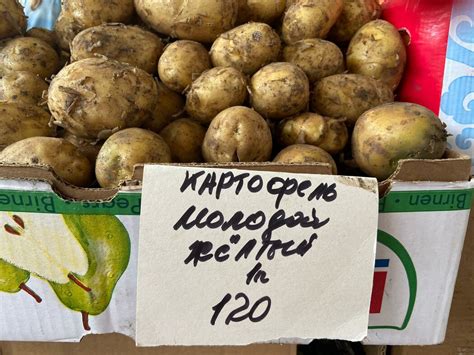Цена Картофеля За Кг В Магазинах — XXX-shoping.ru