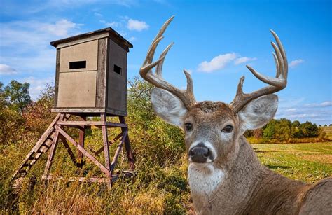 Jeff Daniels Dave Coulier