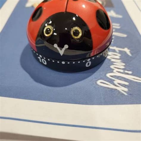 Image result for Ladybug Computer Mouse