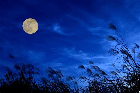 新月とは？月の満ち欠けと呼び名一覧、満月に至る解説も - 気になる話題・おすすめ情報館