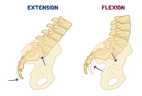 Diagnosing sacral somatic dysfunction | Osmosis