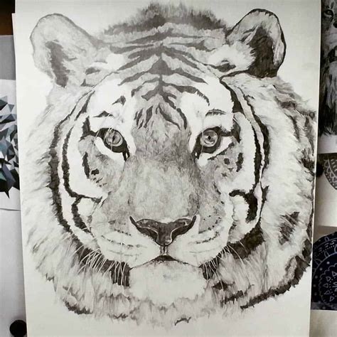 Interesting Project Ideas on International Tiger Day for School Students