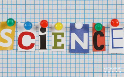 Science Abstract Animation 的图像结果