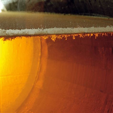 La crianza biológica de los Vinos de Jerez: El velo de flor - Parte 2 ...