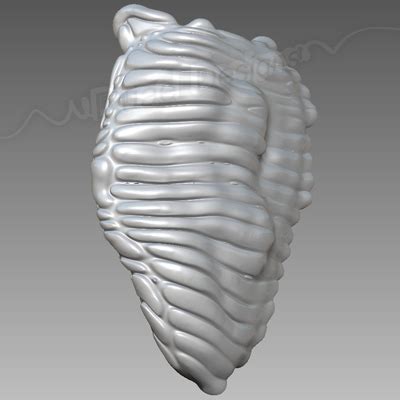 Alien Organs 的图像结果