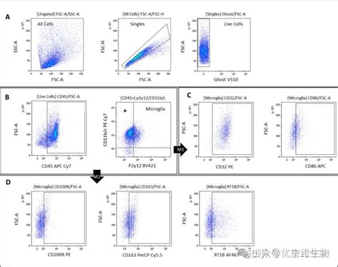 Image result for Distributed Virtual Relaity