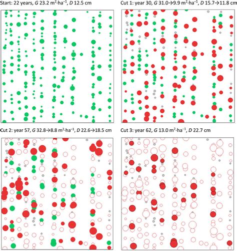 Image result for Plot Simulation Tree Python
