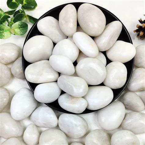 White River Rocks for Indoor Plants - House Plants Expert