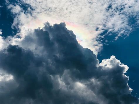 Paradise leaking | Scrolller