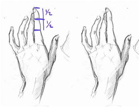 Image result for How to Draw Anime Hands Tutorial