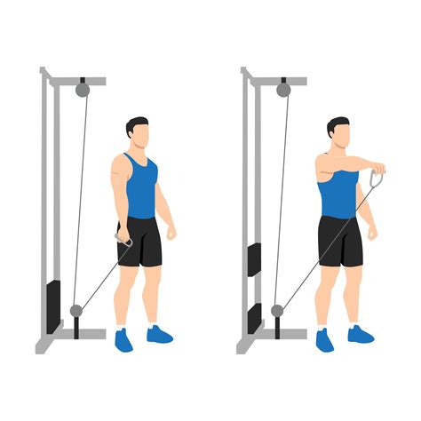 Standing Cable Front Raise
