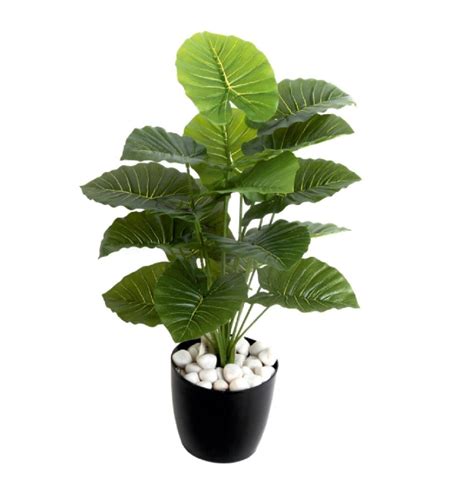 Artificial 18 Head Real Touch Green Pothos Medium Plant (Without Pot ...