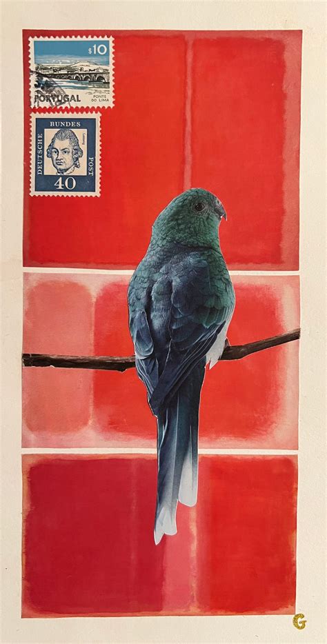 Complementary Color Collage 的图像结果