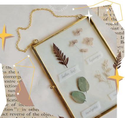 Menyusun Keindahan Bunga Abadi - zetizen.com