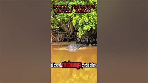 Image result for Python Process to Make