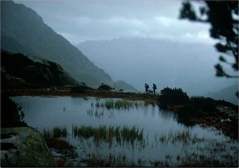 Doğa ve Manzara Resimleri (3. Katalog) - Sayfa 96