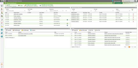 Insync EMR Tutorial 的图像结果