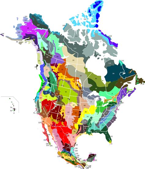 Terrestrial Ecoregions of North America