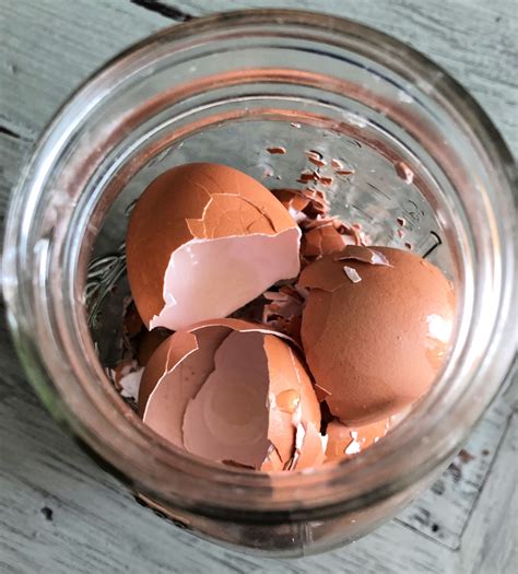 Image result for Cooking Egg Shells