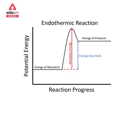 Endothermic Reaction Examples with Equations