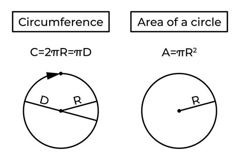 Circumference, area of a circle and formula. Perimeter. Basic school geometry. Vector ...