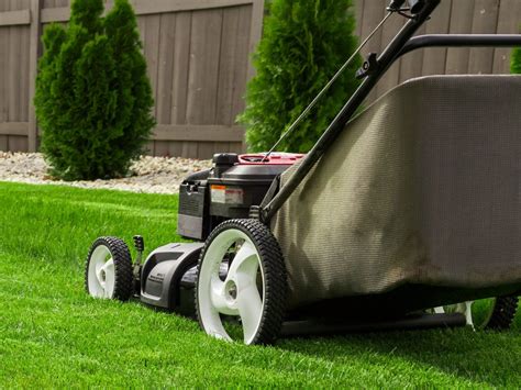 Lawn Care Service Insurance | Statewide