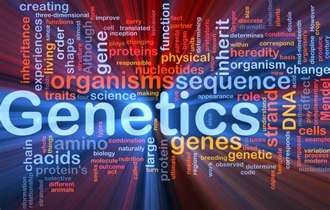 Genetics 的图像结果