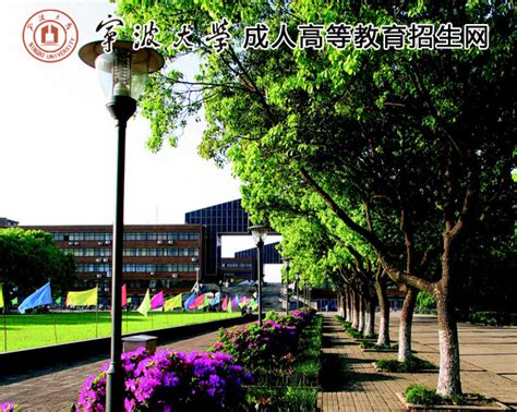 宁波大学成人教育学院招生网