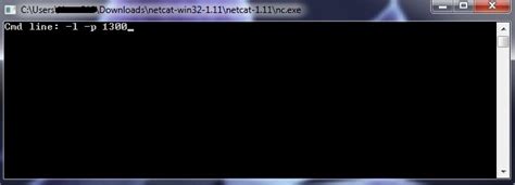 Netcat Download 的图像结果