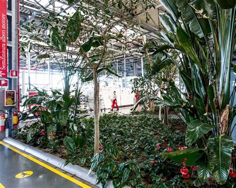 Image result for LaFerrari Factory