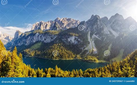 Image result for Example of Comprehensive Forming