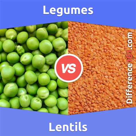 Legumes vs. Lentils: 6 Key Differences, Pros & Cons, Examples ...