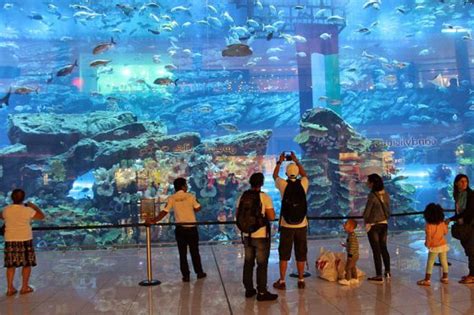 Image result for Konsep Queue Python