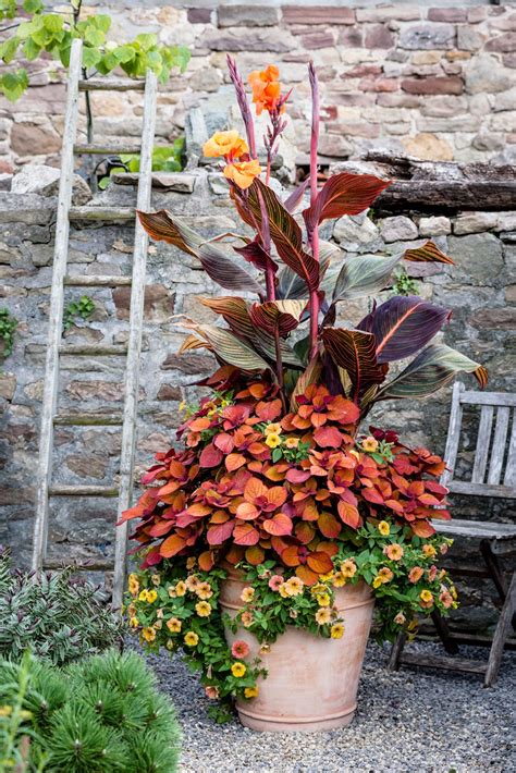 Ideas for diy outdoor fall flower planters – Artofit