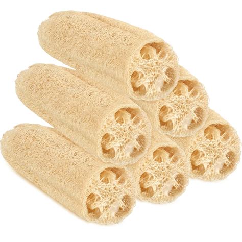 Amazon.com: Mifoci 6 Pcs Natural Loofah Sponge 12 Inch Luffa Bath ...