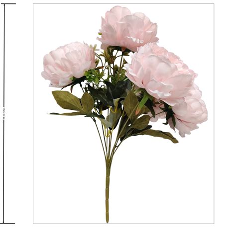 Peony Flowers at Best Price in India-Bharat Wholesales