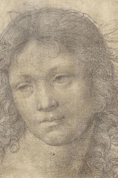 Spectacular Mysteries | Meer