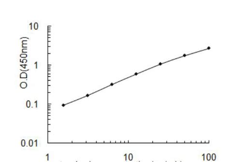 Ppa1java Language 的图像结果