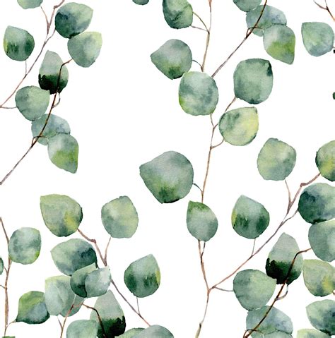 Eucalyptus Greenery Iphone Wallpaper