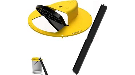 Image result for Best Mouse Trap Designs