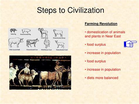 Image result for Steps of Civilization