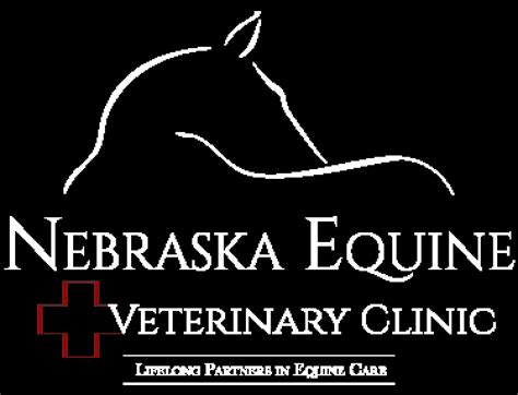 Nebraska Equine Veterinary Clinic - Veterinarian in Omaha, NE US ...