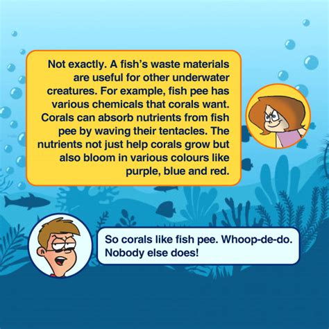 Do Fish Not Pee? - Tinkle