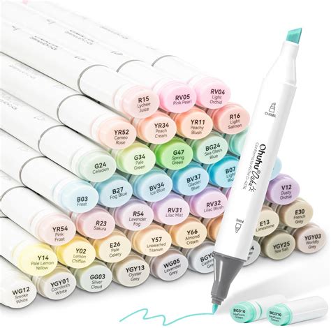 Ohuhu Alcohol Markers 48 Pastel Colors- Double India | Ubuy