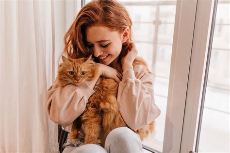 10 Reasons Why Cats Are Better Than Dogs