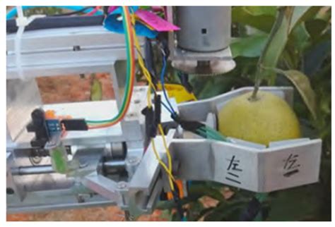 Key Technologies for Autonomous Fruit- and Vegetable-Picking Robots: A ...