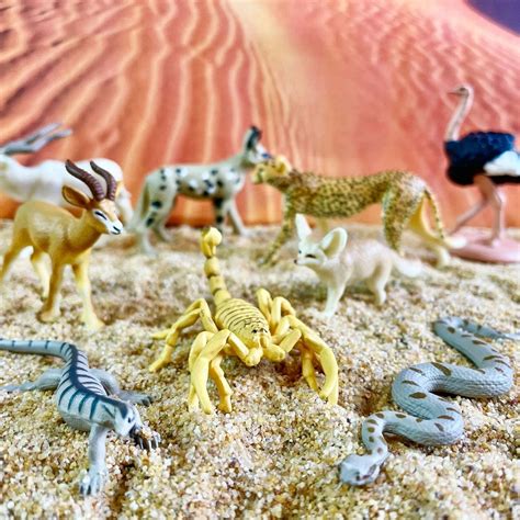 Sahara Desert Animals TOOB® | Safari Ltd